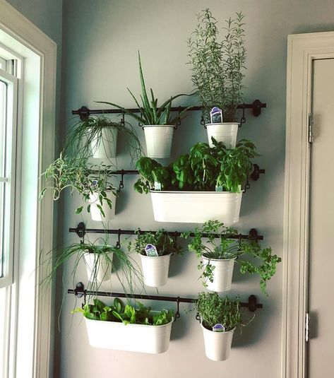 Kitchen Growing Herbs, Plants On Green Wall, Herb In Kitchen Ideas, Concrete Herb Garden, Leaf Kitchen Decor, Ikea Herb Garden Wall Planters, Ikea Wall Garden, Kitchen Planters Indoor Herbs, Vertical Herb Garden Wall Indoor