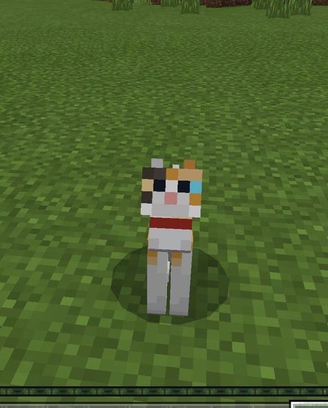 Minecraft cat ♡ Minecraft P, Minecraft Pattern, Minecraft Pig, Sheep Drawing, Minecraft Images, Pink Sheep, Minecraft Drawings, Minecraft Pictures, Minecraft Mobs