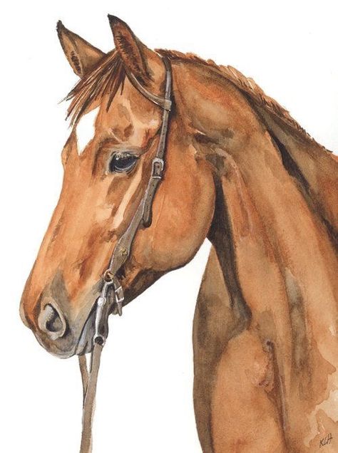 Horse Face Drawing, Equine Art Pencil Drawings, Horse Art Ideas, Watercolor Horse Painting, Horse Art Drawing, Dog Portraits Art, Horse Sketch, Horse Illustration, Watercolor Horse