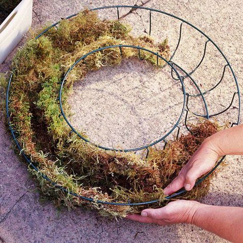 Plant this low-care, living wreath to hang on your doorway, fence, or deck for beauty through the season. Living Wreaths, Succulent Wreath Diy, Living Wreath, Succulent Wreath, Small Wreaths, Succulent Gardening, Blooming Plants, Cactus Y Suculentas, Garden Stuff