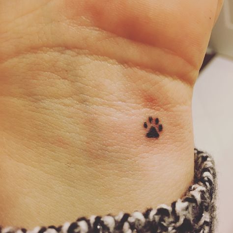 Puppy Tatoos Small, Small Tattoos Pets, Small Paw Print Tattoo Finger, Cat Paw Print Tattoo Small, Simple Pawprint Tattoo, Tattoo Dog Print, Tiny Dog Paw Print Tattoo, Tiny Dog Print Tattoo, Dog Paws Tattoo Small