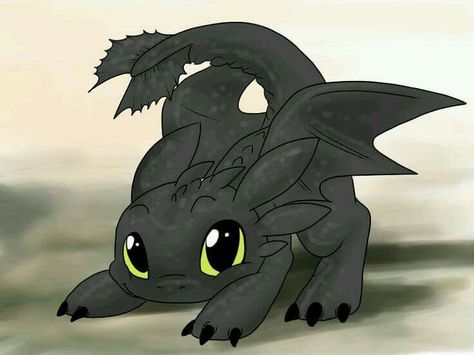 Baby Toothless Chibi Toothless, Baby Toothless, Toothless Drawing, Httyd Toothless, Toothless And Stitch, Toothless Dragon, 디즈니 캐릭터, Dragon Trainer, Arte Disney