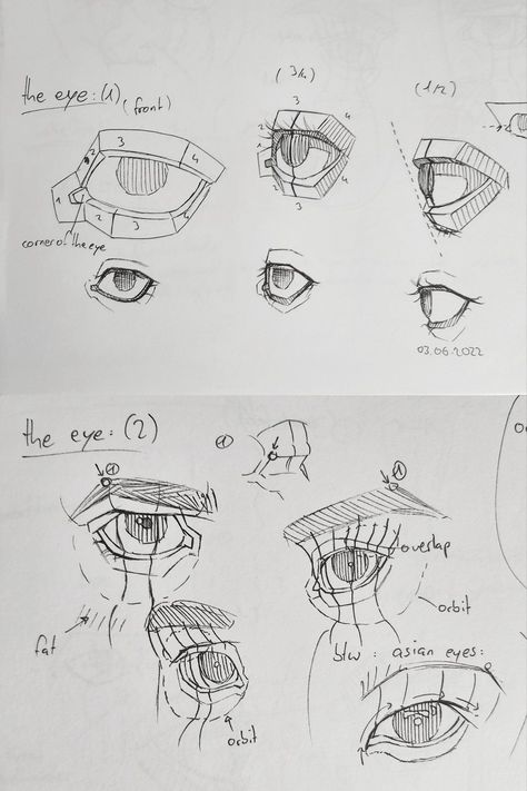 Eyes In Perspective Drawing, Eye How To Draw, Planes Of The Eye, Eyes Structure Drawing, Eye Study Drawing Anatomy, How To Draw Eyes From Different Angles, Eye Placement Drawing, Eye Structure Drawing, Eyes Perspective Drawing