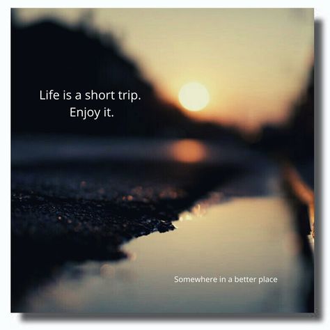 Its Only A Short Trip Enjoy It Quote, Life Is A Short Trip Quote, Enjoy Life Quotes Short, Life Is Short Quotes, Life Is A Trip, Life Is Short Live It, Cute Qoutes, Enjoying Life Quotes, Longing Quotes