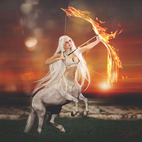 Sagittarius || Zodiac || Astrology || Horoscope || Goddess || Tasha Zeringue Photography Zodiac Photoshoot, Social Person, Greek Mythology Stories, Emotion Art, Scorpio Sagittarius Cusp, Female Centaur, So Emotional, Horoscope Sagittarius, Photography Series