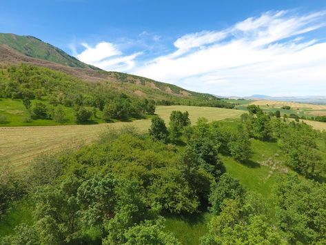 Price Just Reduced! Bordering the Wasatch-Cache National Forest, the Diamond J Ranch is accessible year-round and located just minutes from Logan, Utah. Utah Ranch, Hay Meadow, Cutthroat Trout, Ranches For Sale, Logan Utah, Ranch Farm, Hunting Lodge, Steamboat Springs, Scenic Byway