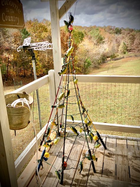 Fishing Line Christmas Tree, Fishing Pole Decor Ideas, Fishing Christmas Tree Ideas, Fishing Pole Christmas Tree, Fishing Pole Decor, Christmas Exterior, Vintage Spool Handle Bamboo Fishing Rods, Fishing Poles, Front Porch Planters