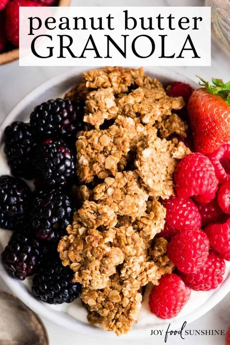 This peanut butter granola recipe is easy to make with 6 ingredients in 30 minutes! It's a nutritious alternative to store-bought granola! Healthy Peanut Butter Granola, Peanut Butter Granola Recipe, Easy Granola Recipe, Homemade Granola Recipe, Easy Homemade Granola, Easy Granola, Honey Granola, Vegan Granola, Granola Recipe Homemade