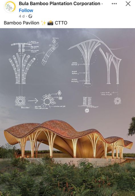 Tree Architecture Design, Tree Like Architecture, Naturalism Architecture, Tree Like Structure, Tree Column Design, Bamboo Column Design, Roof Opening Design, Organic Roof Architecture, Bamboo Pavilion Design