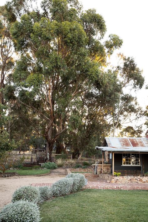 Naturalistic principles guided garden designer Tim Pilgrim's work on this plot in Yandoit, Central Victoria. Take a wander through. Country Home Exterior, Country Garden Design, Naturalistic Garden, Bush Garden, Perennial Grasses, Homes To Love, Garden Inspo, Farmhouse Landscaping, Sun Garden