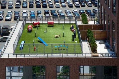 Dog Park Design, Biophilic Architecture, Apartment Dogs, Dog Playground, Park Design, Landscape Elements, Concrete Pavers, Parking Design, Dog Runs