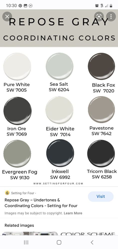 Eider White Sherwin Williams, White Sherwin Williams, Eider White, Paint Color Combos, Repose Gray, Paint Color Inspiration, House Color Palettes, Painted Front Doors, House Color Schemes