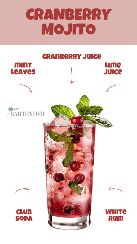 Cranberry Mojito Cocktail Recipes With Cranberry Juice, Mojito Flavors, White Rum Cocktails, Cranberry Mojito, Cranberry Cocktails, Soda Cocktails, Boozy Recipes, Mojito Recipes, Alcohol Beverages