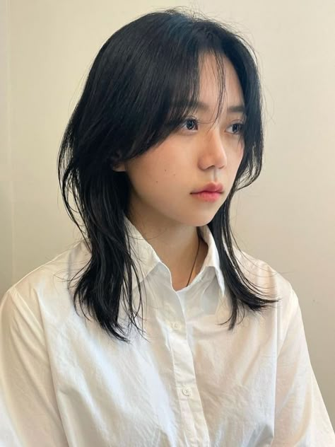 (Korean Layered Haircut) hush cut for medium length hair Hush Haircut Wavy Hair, Hush Cut Medium Length, Hush Cut Shoulder Length, Short Hush Cut With Curtain Bangs, Hush Cut Round Face, Short Hush Cut With Bangs, Medium Hush Cut, Hush Cut Hair Short, Hush Cut Short