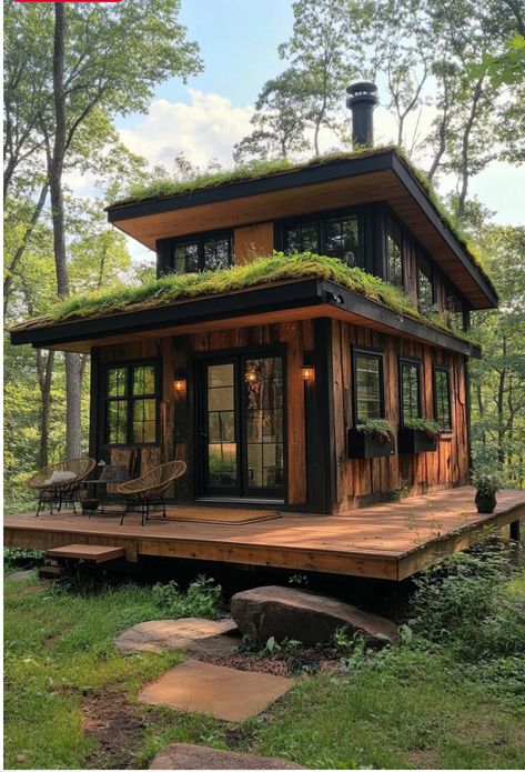 Tiny Forest House, Forest Tiny House, Tiny House Tropical, Modern Forest House Exterior, Tiny House Design Exterior, Loft House Design Exterior, Small Forest House, Eco Friendly House Architecture, Hotel Bathroom Design Luxury