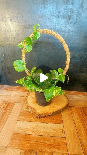 Diy Circle Trellis, Pothos Plant Decor, Circle Trellis, Potted Plant Trellis, Round Trellis, Pot Trellis, Handmade Decorative Items, Garden Hacks Diy, Green Living Room