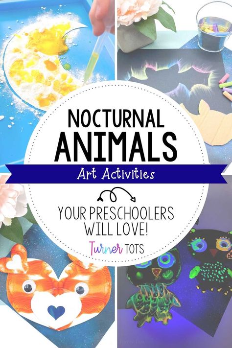 Nocturnal Animals Crafts For Preschoolers, Nocturnal Animal Art Preschool, Nocturnal Animal Books Preschool, Nocturnal Animals Kindergarten Activities, Nocturnal Animal Gross Motor, Night Animals Preschool Crafts, Nocturnal Animals Preschool Art, Nocturnal Animal Science Preschool, Preschool Nocturnal Animals Crafts