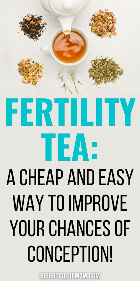 Learn about the best teas for fertility to drink for both men AND women trying to conceive! Red raspberry leaf, Vitex, and stinging nettle leaf help most. Drinking an organic, herbal tea can help to regulate your hormones, improve egg quality, and boost ovulation - especially if you have PCOS. For men, the right tea can increase sperm count and sperm motility. We've researched 10 of the best fertility teas out today. Check our chart to see which fertility tea is best for your specific situation! Teas For Fertility, Herbs For Fertility, Fertility Tea, Fertility Smoothie, Fertility Boosters, Best Teas, Egg Quality, Fertility Foods, Raspberry Leaf Tea