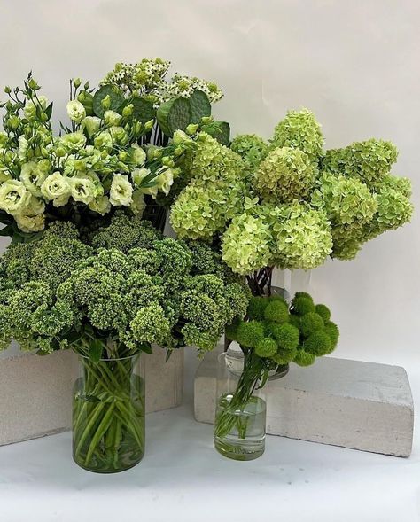 Green Foliage Wedding Decor, Bridal Shower Floral Arrangements, Nancy Meyers Wedding Aesthetic, Green Lisianthus, Chartreuse Flowers, Green Flower Wedding, Green Hydrangea Wedding, Foliage Wedding Decor, Costco Flowers