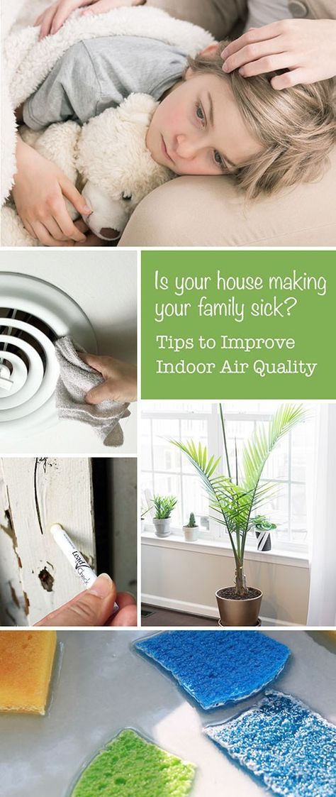 House Cleaners, Helpful Hacks, Cleaning Stuff, Homemade Cleaning, Helpful Things, Improve Indoor Air Quality, Diy Shower, Best Indoor Plants, Allergy Symptoms