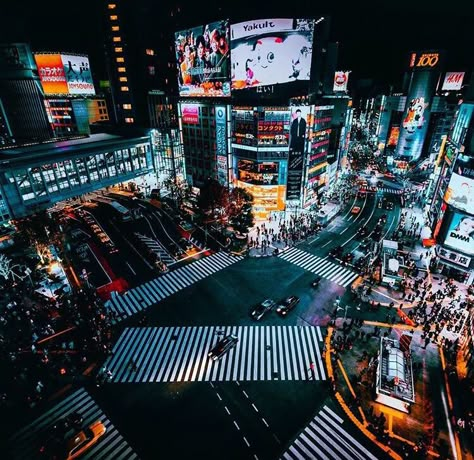 Shibuya Crossing Photography, Harajuku District, Tokyo Things To Do, Shibuya Japan, Shibuya Tokyo Japan, Shibuya Crossing, Shibuya Tokyo, Japan Street, Top Floor