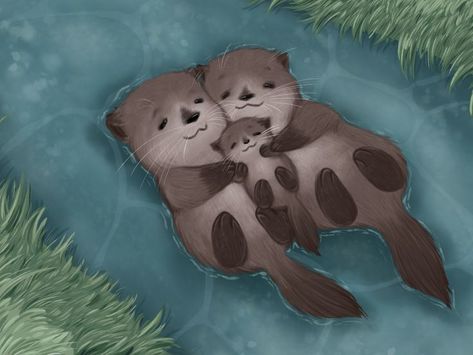 Otters Drawing, Cute Otters Drawing, Otter Family, Otter Drawing, Baby Sea Otters, Otter Illustration, Otter Art, Sea Otters, Baby Otters