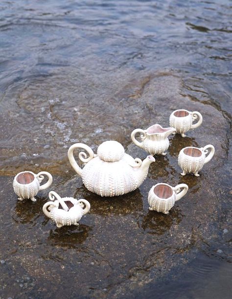 Sea Urchin Ceramic, Ocean Inspired Pottery, Fancy Tea Cups, Ceramic Teapot Set, Teapots Unique, Sea Urchins, Mermaid Diy, Ceramic Tea Set, Sea Snail