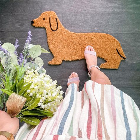 Shop this Instagram.self from @linenchest Dog Treat Packaging, Dog Kitchen, Linen Chest, Vet Clinics, Paws And Claws, Weenie Dogs, Mini Dachshund, Veterinary Clinic, Dachshund Lovers