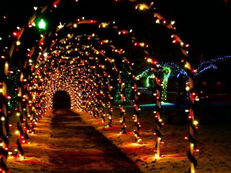 Sidewalk Archway, Driveway Arch, Light Driveway, Christmas Light Decorations, Archway Decor, Exterior Christmas Lights, Christmas Light Clips, Diy Driveway, Christmas Arch