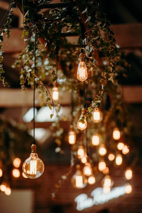 Wedding Light Background, Cozy Apartment Christmas, Wedding Fairy Lights, Hanging Lights Wedding, Hanging Ivy, Sparkly Background, Spark Light, Wedding Fairy, Fairy Lights Wedding