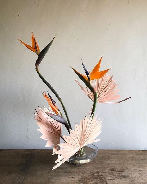 29.4k Followers, 795 Following, 718 Posts - See Instagram photos and videos from THE DRIVE NEW YORK (@thedrivenewyork) Art Floral Japonais, Arreglos Ikebana, Sogetsu Ikebana, Birds Of Paradise Flower, Tafel Decor, Ikebana Arrangements, Ikebana Flower Arrangement, Flower Soft, Deco Floral