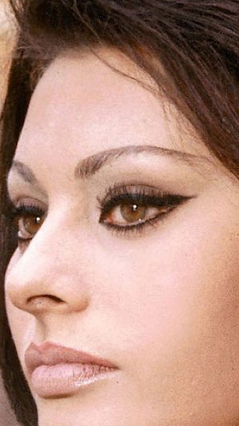 Italian Makeup, Models Without Makeup, 60s Makeup, Photos Of Models, Sofia Loren, Retro Makeup, Cat Eye Makeup, Italian Actress, Bare Skin