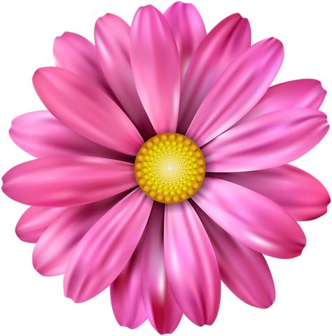 Pink Flower Transparent Image Pink Flowers Clipart, Flowers Png Hd, Clipart Of Flowers, Pink Flower Png, Pink Flower Background, Flower Clipart Png, Flower Transparent, Png Flowers, Flower Png Images