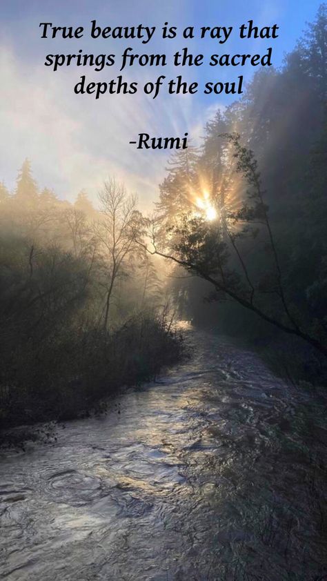 Rumi Quotes Life Happiness, Best Rumi Quotes Life, Rumi Poetry Soul, Rumi Quotes Soul Spirituality Wisdom, Jalaluddin Rumi Quotes, Neruda Love Poems, Universal Spirituality, Felton California, Quotes Rumi