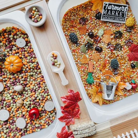 Pumpkin Spice Sensory Bin, Fall Flisat Table, Pumpkin Patch Sensory Bin, Apple Sensory Table, Turkey Sensory Bin, Happy Canadian Thanksgiving, Farm Sensory, Farm Sensory Bin, Fall Sensory