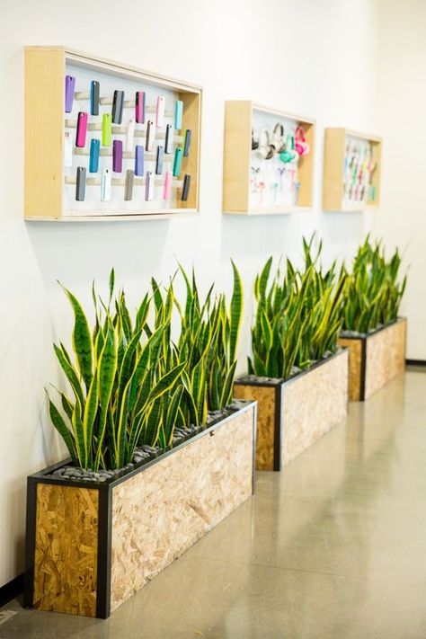 Office Planters, Plant Office Design, Tanaman Indoor, Tanaman Pot, نباتات منزلية, Diy Tank, Custom Planters, Corporate Office Design, Green Office