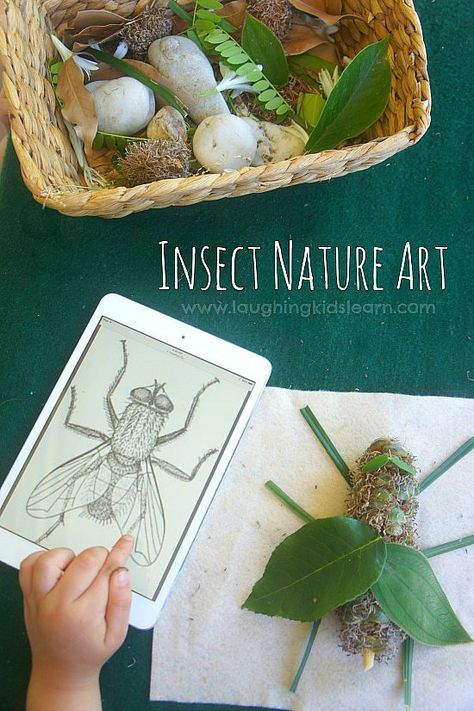 Insect Nature Art inspired by Australian Natural Pyrethrins Insect Activities, Forest School Activities, Art Project For Kids, Insects Theme, Nature School, Theme Nature, Deco Nature, Project For Kids, Preschool Science