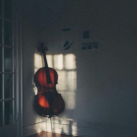 #celloaudio #classicalmusician #strings #orchestra #symphonicrock #cello #music #cellist #cellolove #violin #classicalmusic #celloplayer #cellos #cellomusic #cellorock #viola #metal #musician #cellolife #violoncello #cellomaker Cello Photoshoot, Silent Photography, Hashtag Instagram, Posters On Wall Bedroom, Musician Photography, Light Academia Aesthetic, Cello Music, Chaotic Academia, Cellos