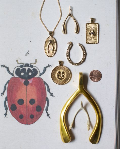 Lucky Charm Jewelry, Wishbone Aesthetic, Lucky Charms Aesthetic, Luck Aesthetic, Lucky Things, Make Your Own Luck, Stay Gold Ponyboy, Vintage Coins, Horseshoe Jewelry