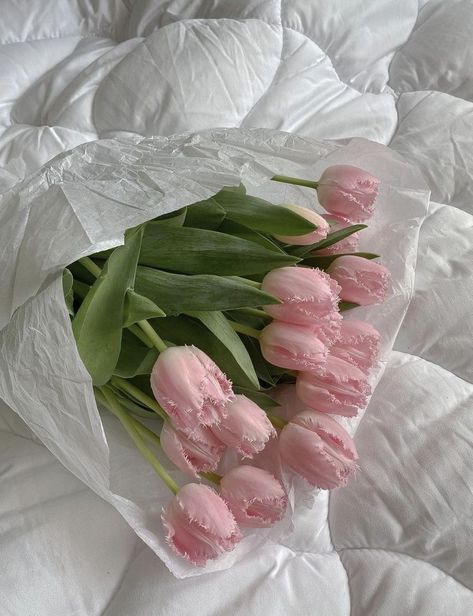 Widget Smith Ideas, Widget Smith, Boquette Flowers, Nothing But Flowers, Flower Therapy, Pink Tulips, Tulips Flowers, Love Flowers, Pink Aesthetic