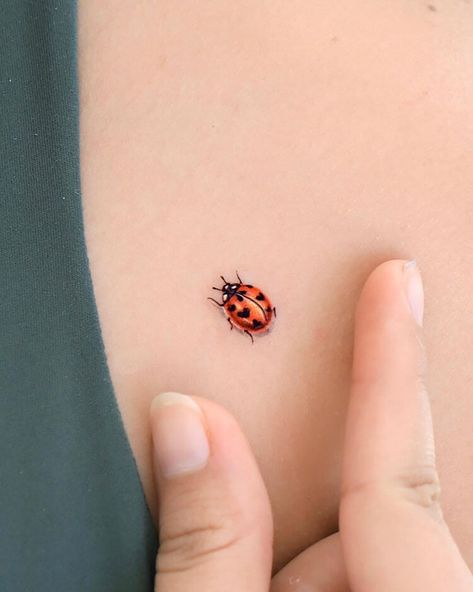 Ladybug Tattoo Ladybird Tattoo, Small Fox Tattoo, Tattoo Design Ideas For Women, Blue Flower Tattoos, Shoulder Tattoo Ideas, Ladybug Tattoo, Lady Bug Tattoo, Insect Tattoo, Bug Tattoo