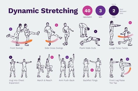 Dynamic Mobility Stretches, Back Dynamic Stretch, Static Stretching Exercises, Static Stretches Warmup, Dynamic Stretches Warmup, Dynamic Active Stretches, Dynamic And Static Stretching, Athlete Stretching Routine, Dynamic Stretches For Arms