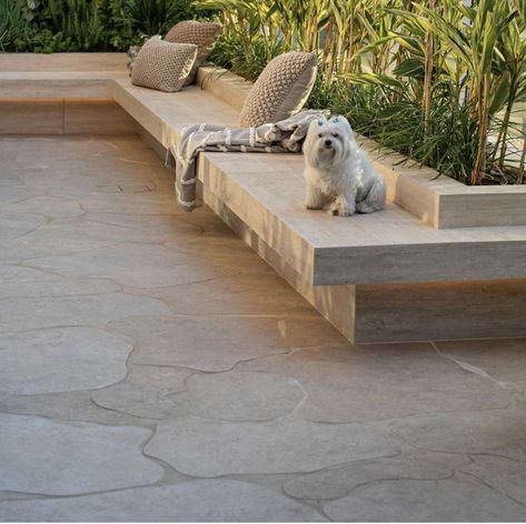 Built In Garden Seating Ideas, Outdoor Seating Concrete, Outdoor Built In Bench, Softscape Design, Built In Garden Seating, Beach House Garden, Travertine Outdoor, Backyard Seating, Wall Seating