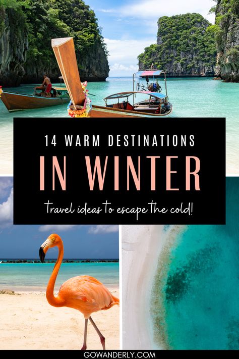 Explore the best warm destinations for winter travel. Winter Destinations In The Us, Best January Vacations, December Vacation Ideas, Vacation Ideas United States, Cheap Winter Vacations, Tropical Places To Visit, Places To Visit In Winter, Family Tropical Vacation, Best Tropical Vacations