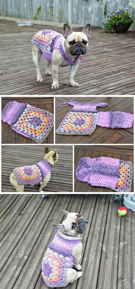 15 Crochet Dog Sweater Free Patterns - FarmFoodFamily Crochet Dog Jacket Free Pattern, Crochet Dog Coat Free Pattern, Crocheted Dog Sweaters Free Pattern Easy, Crochet Dog Clothes Free Pattern, Crochet Dog Jacket, Dog Clothes Crochet, Crochet Dog Sweater Pattern, Crochet Dog Sweater Free Pattern, Dogs Sweater