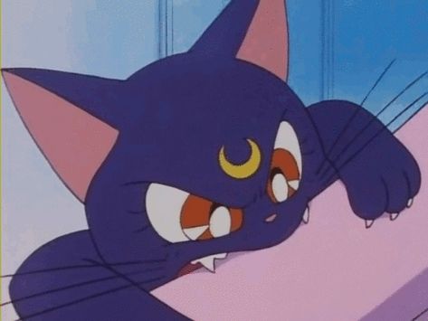 21 Unrealistic Expectations We Have About Cats Because Of 'Sailor Moon' - MTV Sailor Moon Gif, Saylor Moon, Sailor Moon Cat, Luna And Artemis, Sailor Moon Luna, Moon Icon, Sailor Moon Aesthetic, Sailor Moon Wallpaper, Cartoon Profile Pictures