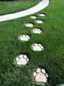 Dog Park Plan Design, Digging Area For Dogs, Dog Shelter Ideas Outdoor Diy, Home Dog Park, Cute Dog Room, Dog Yard Ideas, Dog Pool Ideas, Diy Garden Stepping Stones, Dog Room Ideas