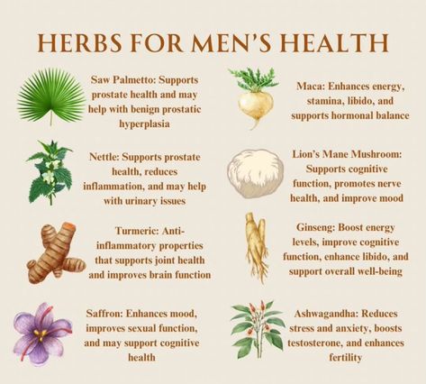 Herbs For Men, Herbal Medicine Recipes, Herbal Remedies Recipes, Medicinal Herbs Garden, Medical Herbs, Magic Herbs, Essential Oils Herbs, For Educational Purposes Only, Health Heal