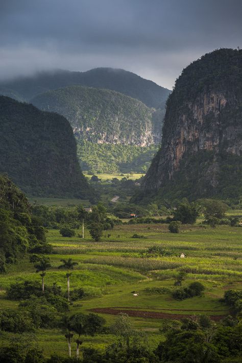 Viñales, Cuba Viva Cuba, Visit Cuba, Vinales, Cuba Travel, Havana Cuba, Natural Scenery, Caribbean Islands, The Landscape, Places Around The World