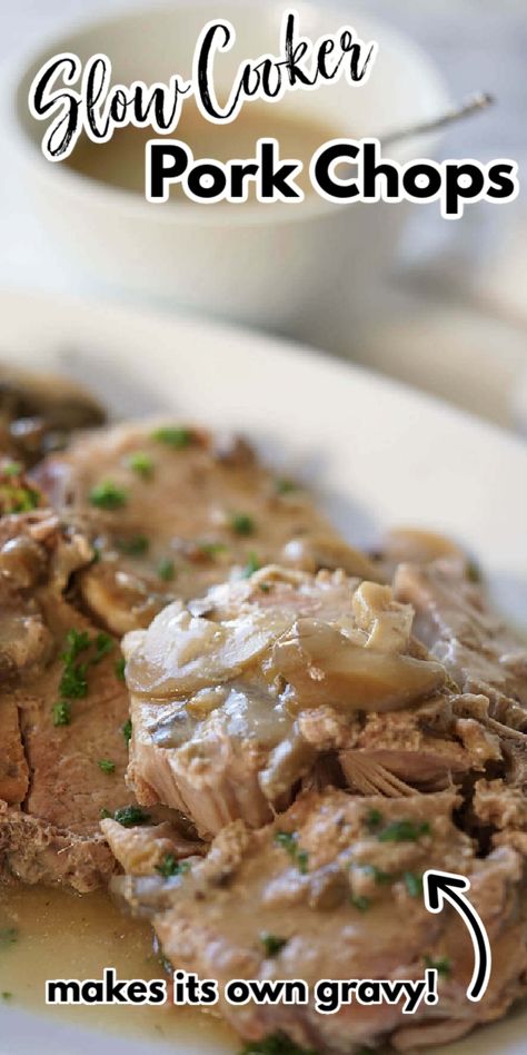 Easy Crockpot Pork Chops, Mushroom Soup Pork Chops, Slow Cooker Pork Chops Recipes, Pork Chop Recipes Crockpot, Slow Cooker Pork Tenderloin, Crockpot Pork Chops, Slow Cooker Pork Chops, Tenderloin Recipes, Cream Of Mushroom